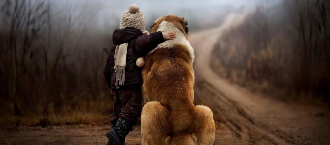 Pour illustrer l'article blessures émotionnelles, un enfant debout en automne son bras sur le dos d'un St Bernard assis à côté, aussi grand que le gamin Les blessures émotionnelles peuvent perdurer et perturber longtemps un individu
