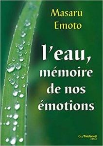 emoto-memoire-de-leau-mon-carre-de-sable3