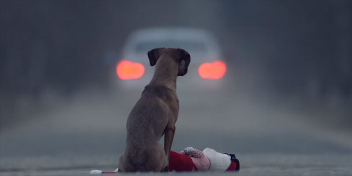 La blessure qui dure le plus longtemps est sans conteste celle de L’abandon !