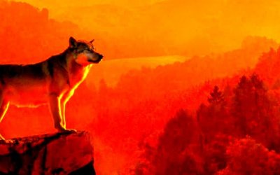 une qualité si précieuse : l&rsquo;humilité