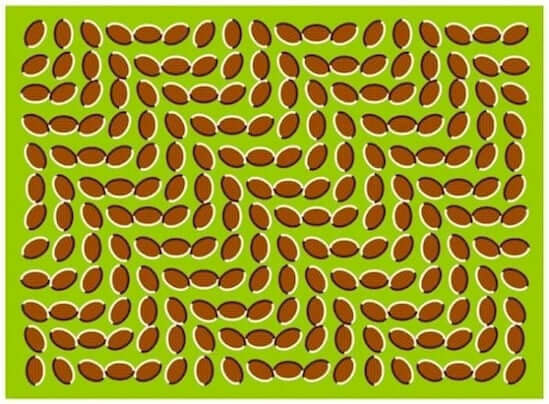 La blessure qui dure le plus longtemps