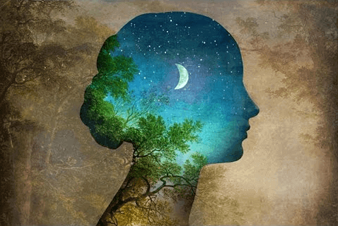 Nos comportements sont des habitudes !