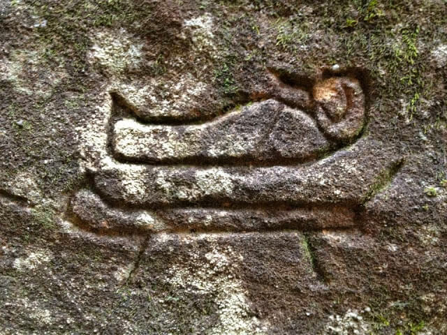 Origine de l&rsquo;humanité : et si c&rsquo;était l&rsquo;Australie ?