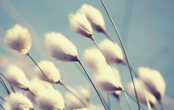 Il y a des jours où tout est en désordre…