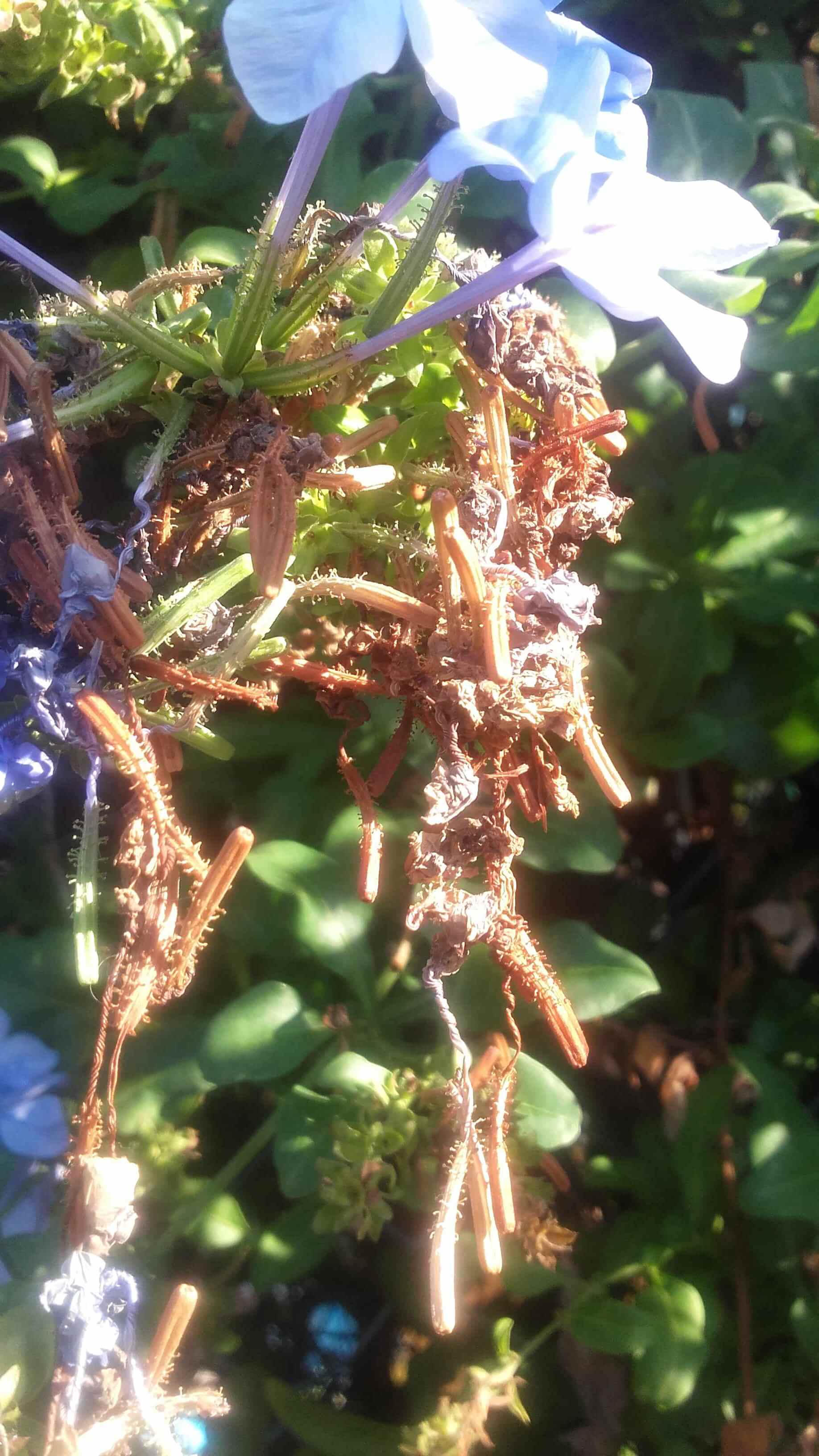 Personne n’appartient à personne