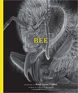  Livre de Fisher : Bee Topographie des larmes - Mon carre de sable