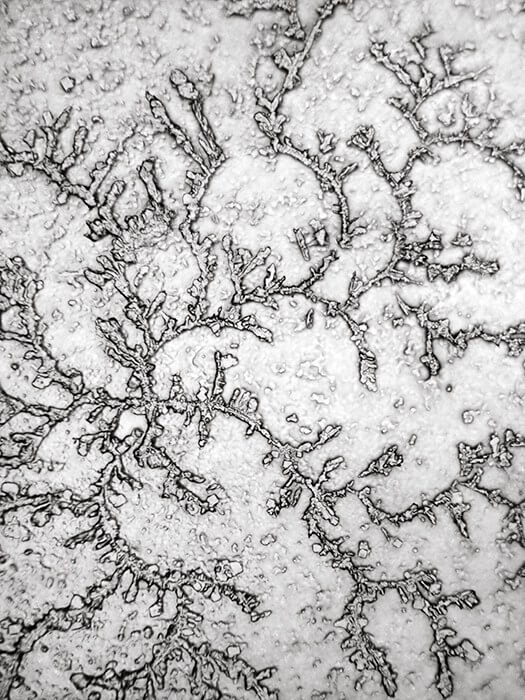 Topographie des larmes : «Une représentation en mouvement des aspects micro et macro de notre vie émotionnelle et un moyen formidable d'intégrer les domaines souvent séparés de la science et de l'art»