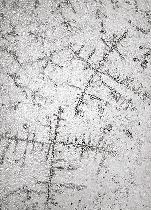 Topographie des larmes : «Une représentation en mouvement des aspects micro et macro de notre vie émotionnelle et un moyen formidable d'intégrer les domaines souvent séparés de la science et de l'art»