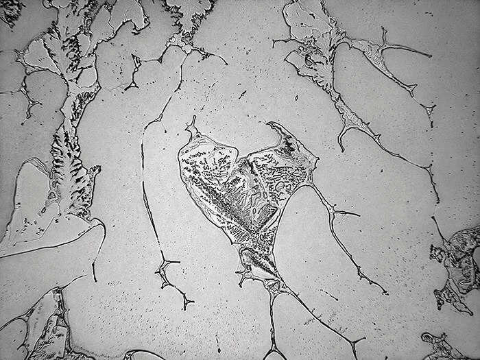 Topographie des larmes : «Une représentation en mouvement des aspects micro et macro de notre vie émotionnelle et un moyen formidable d'intégrer les domaines souvent séparés de la science et de l'art»