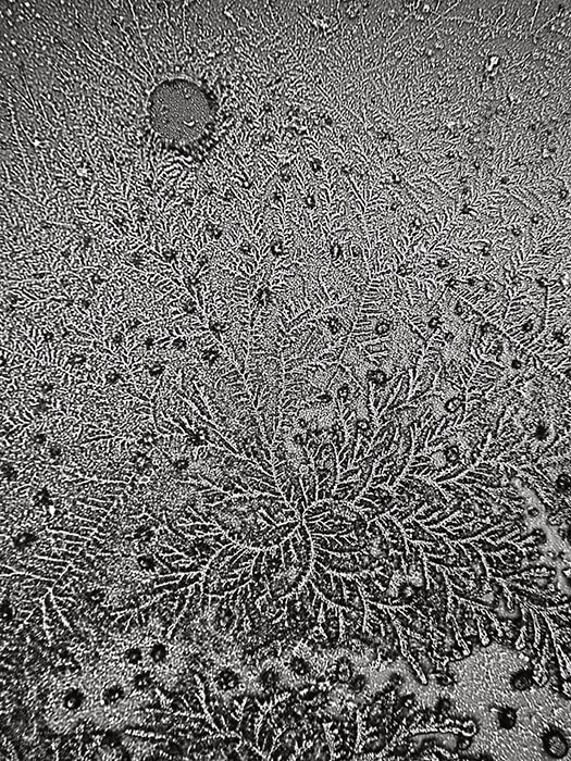 Topographie des larmes : «Une représentation en mouvement des aspects micro et macro de notre vie émotionnelle et un moyen formidable d'intégrer les domaines souvent séparés de la science et de l'art»