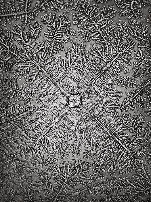 Topographie des larmes : «Une représentation en mouvement des aspects micro et macro de notre vie émotionnelle et un moyen formidable d'intégrer les domaines souvent séparés de la science et de l'art»