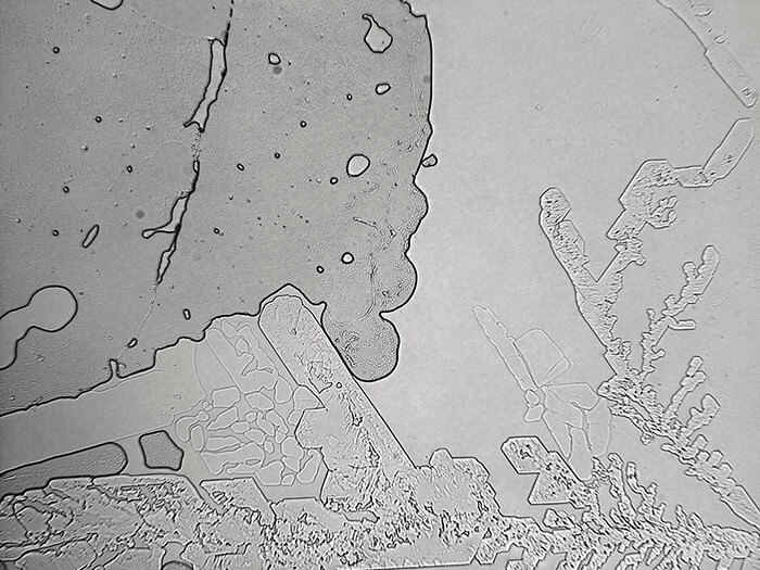 Topographie des larmes : «Une représentation en mouvement des aspects micro et macro de notre vie émotionnelle et un moyen formidable d'intégrer les domaines souvent séparés de la science et de l'art»