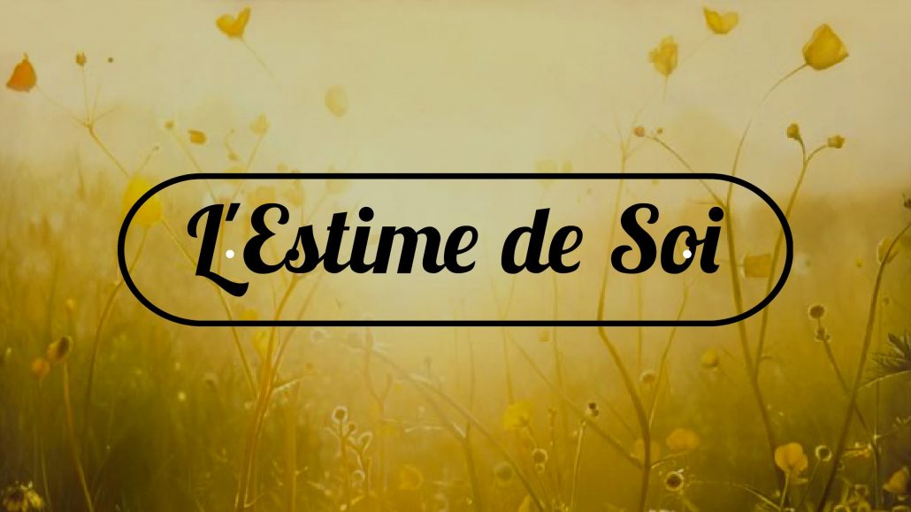 L’échelle de l’estime de soi de Rosenberg, grandiose !