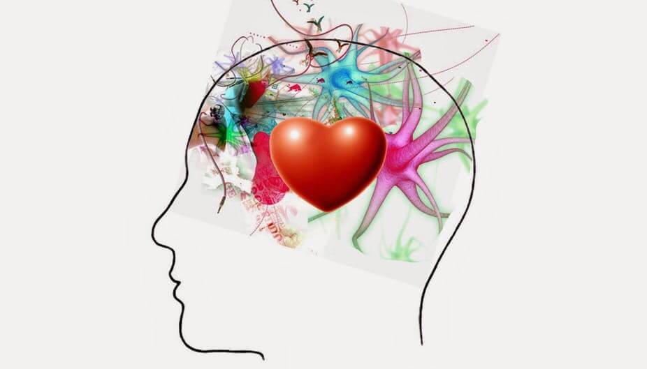 Intelligence émotionnelle,  alternative à l’IA ?