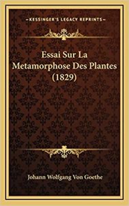 goethe-psychologie-des-couleurs-emotion-goethe-plantes-mon-carre-de-sable