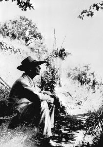 la-solitude-selon-hermann-hesse-mon-carre-de-sable