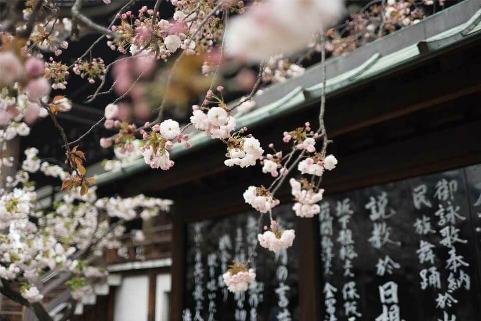 Ichigo-ichie-sagesse-japonaise-mon-carre-de-sable